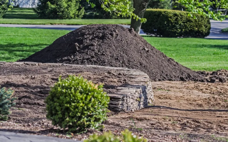 garten-mutterboden-iStock-490734205